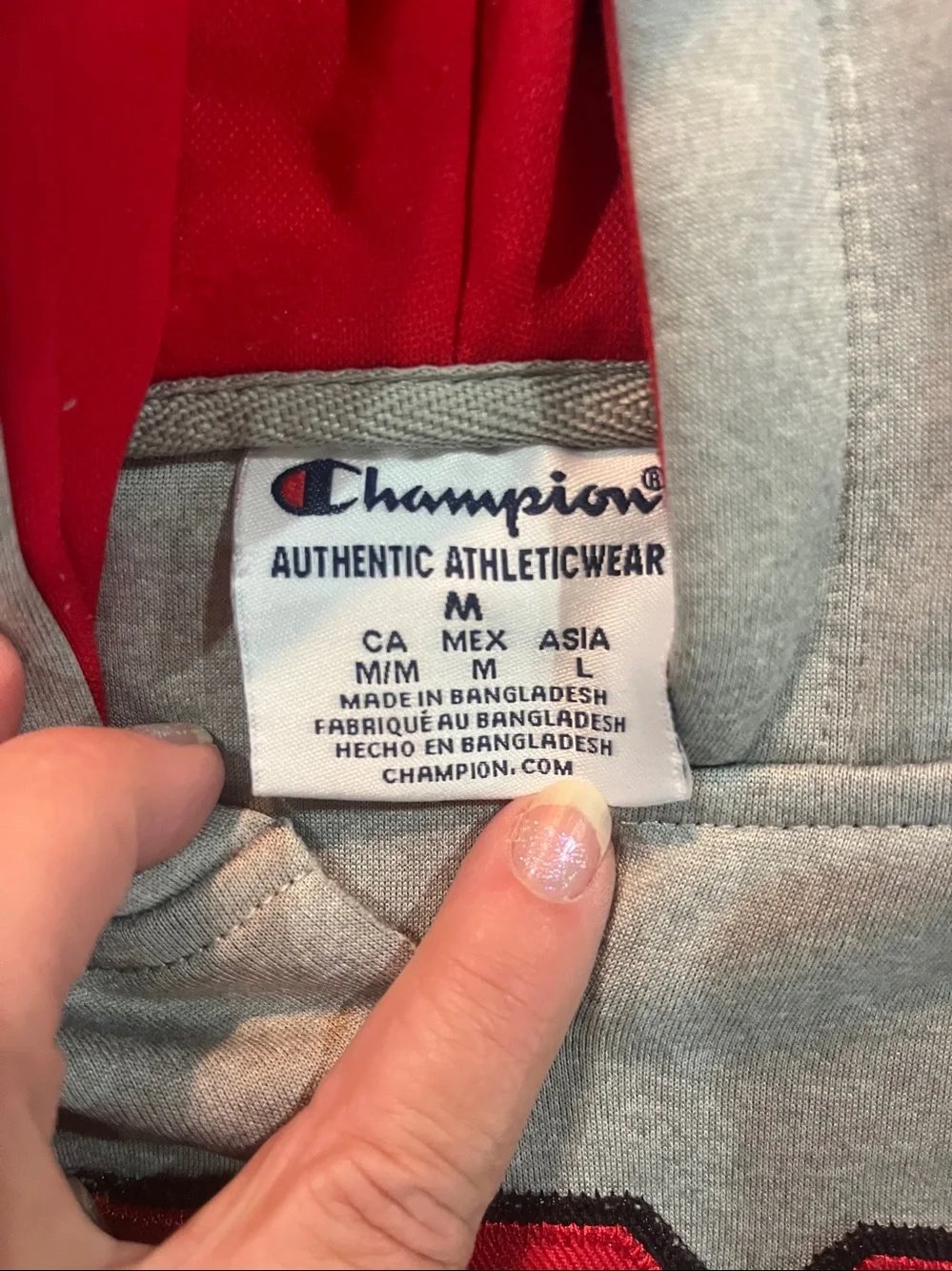 Champion Georgia Kids Hooded Sweatshirt in Gray and Red